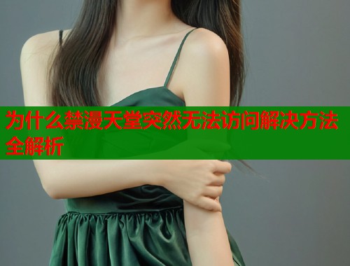 为什么禁漫天堂突然无法访问解决方法全解析
