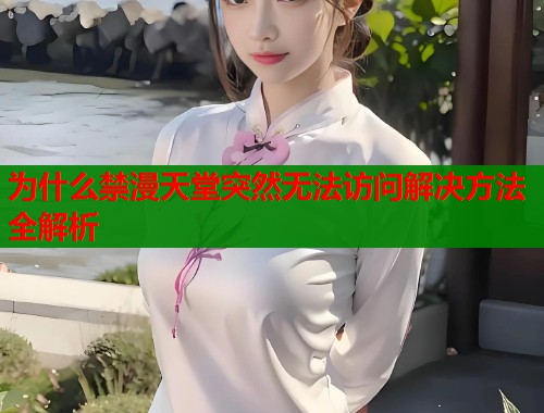 为什么禁漫天堂突然无法访问解决方法全解析